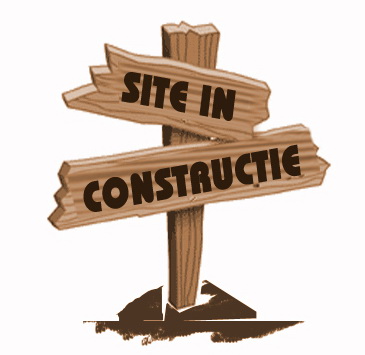 Site în construcție